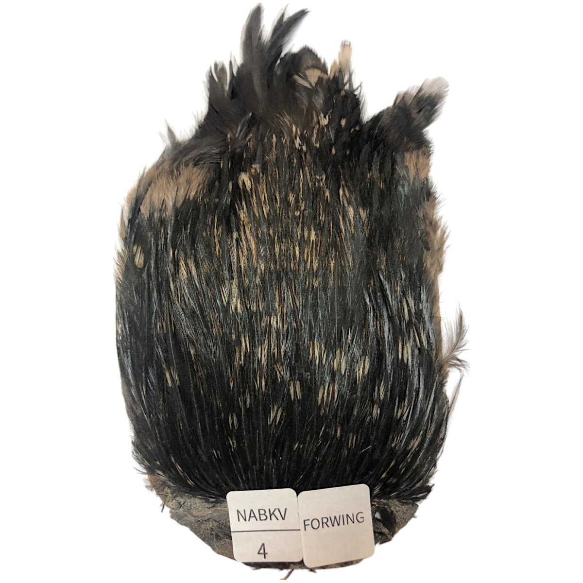 画像1: For Wing　インドコックケープ India Cock Neck Cape　ナチュラルブラックバリアント　NO04 (1)
