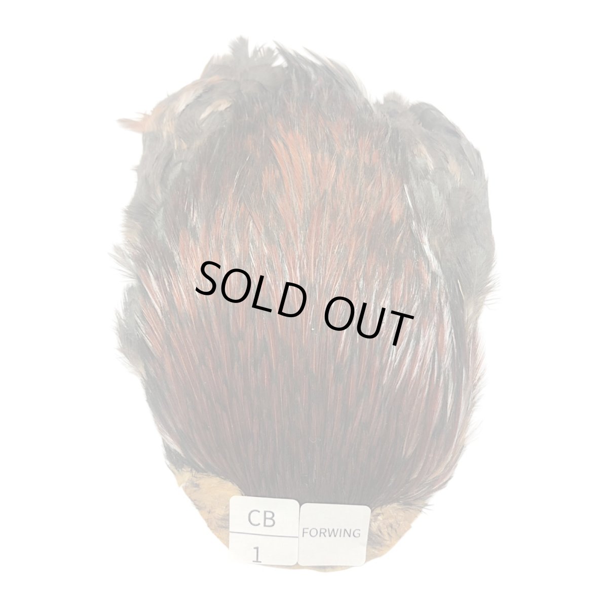 画像1: For Wing　インドコックケープ India Cock Neck Cape　　コッキィボンデュ　NO01 (1)