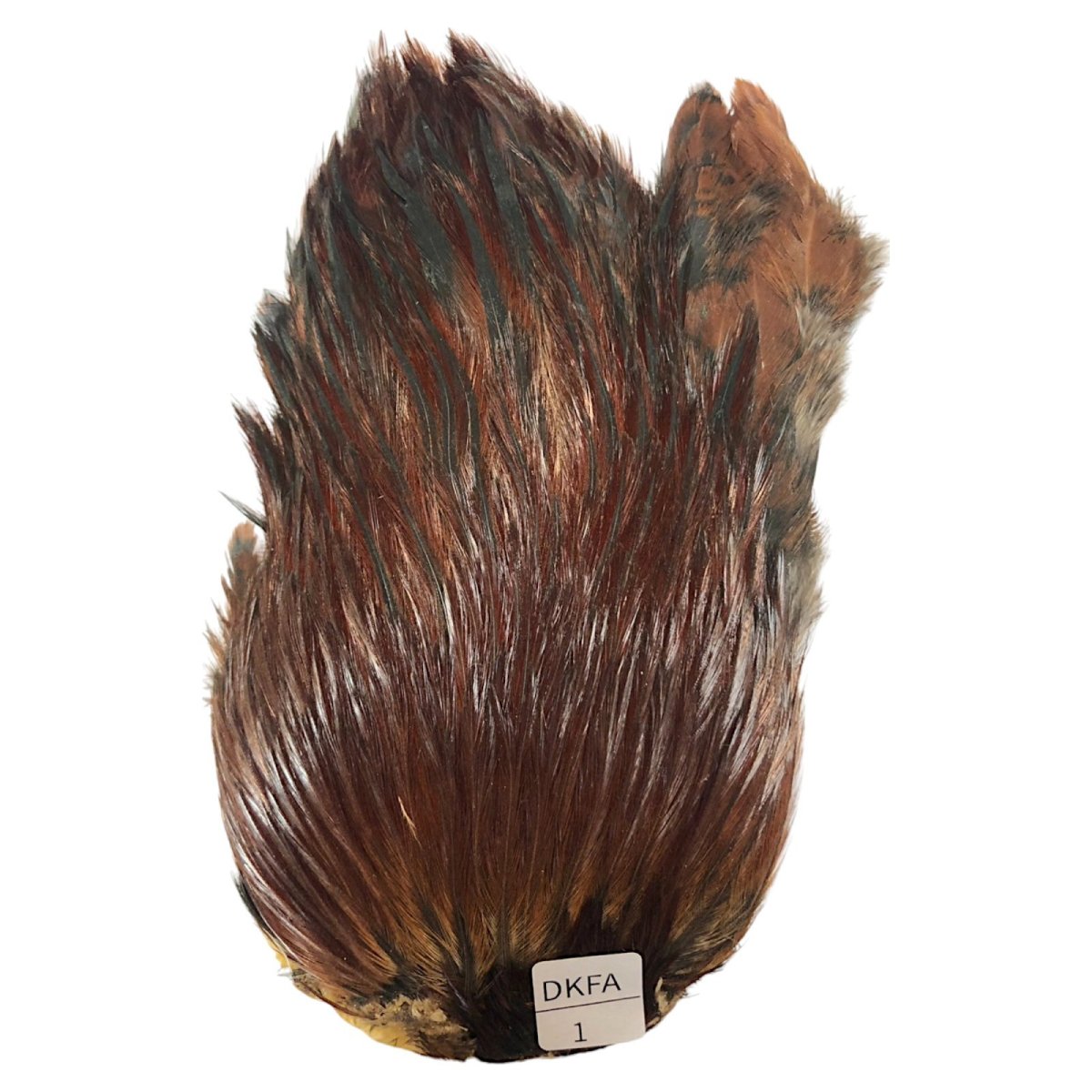 画像1: インドコックケープ India Cock Neck Cape　ダークファーネス　NO01 (1)