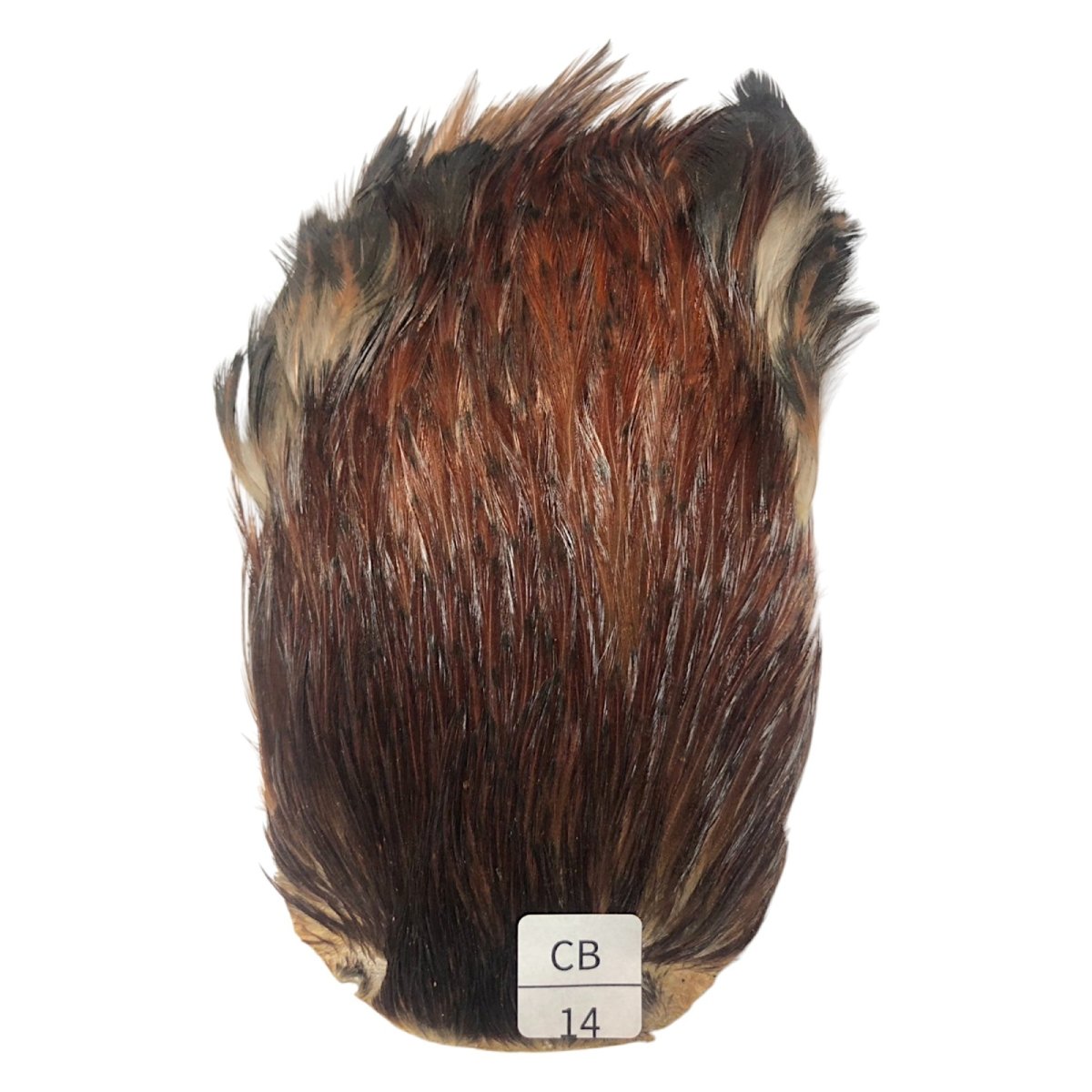 画像1: インドコックケープ India Cock Neck Cape　　コッキィボンデュ　NO14 (1)