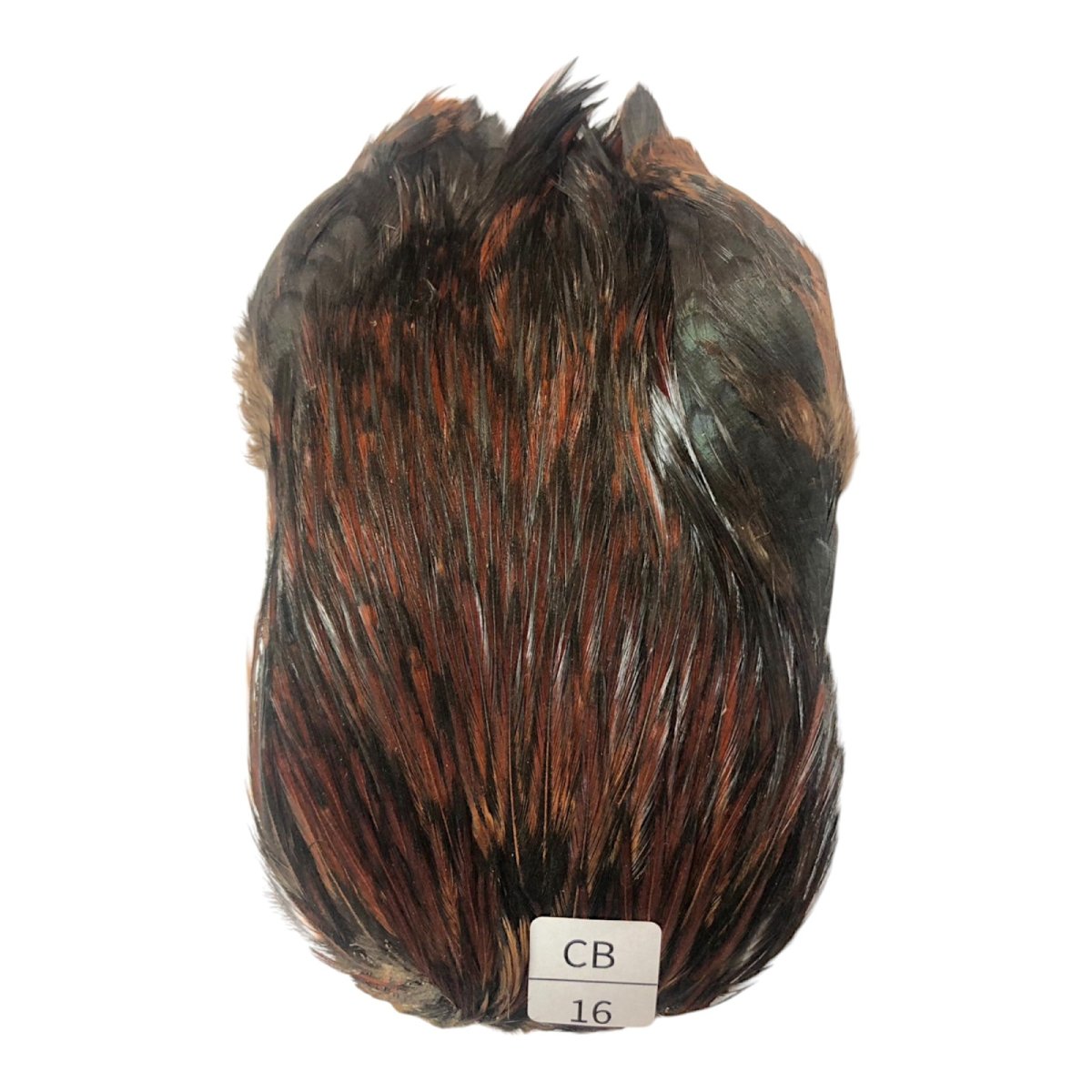 画像1: インドコックケープ India Cock Neck Cape　　コッキィボンデュ　NO16 (1)