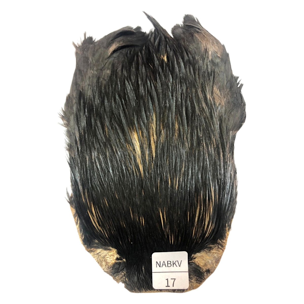 画像1: インドコックケープ India Cock Neck Cape　ナチュラルブラックバリアント　NO17 (1)