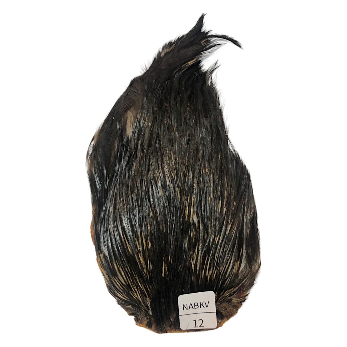 画像1: インドコックケープ India Cock Neck Cape　ナチュラルブラックバリアント　NO12 (1)