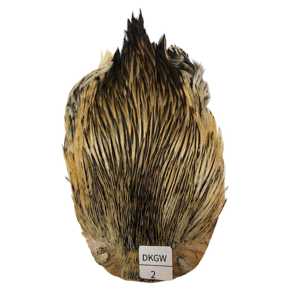 画像1: インドコックケープ India Cock Neck Cape　ダークグリーンウェル　NO02 (1)