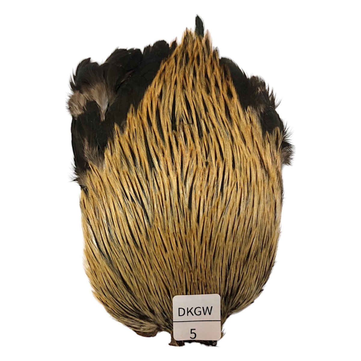 画像1: インドコックケープ India Cock Neck Cape　ダークグリーンウェル　NO05 (1)