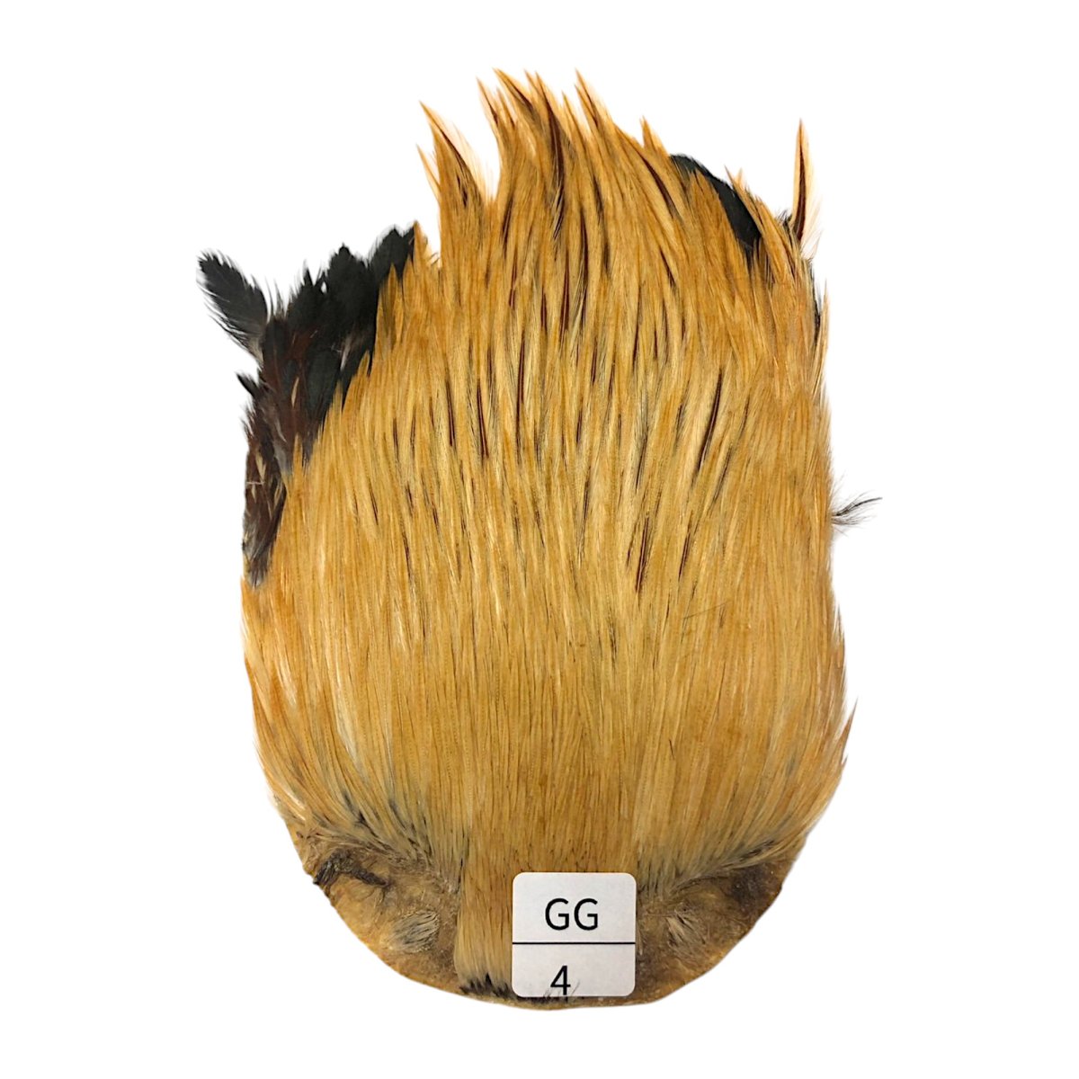 画像1: インドコックケープ India Cock Neck Cape　　ジンジャー　NO04 (1)