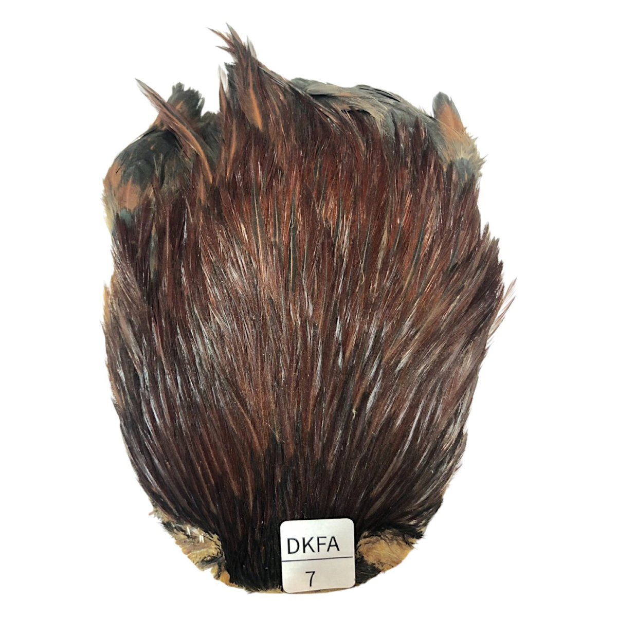 画像1: インドコックケープ India Cock Neck Cape　ダークファーネス　NO07 (1)