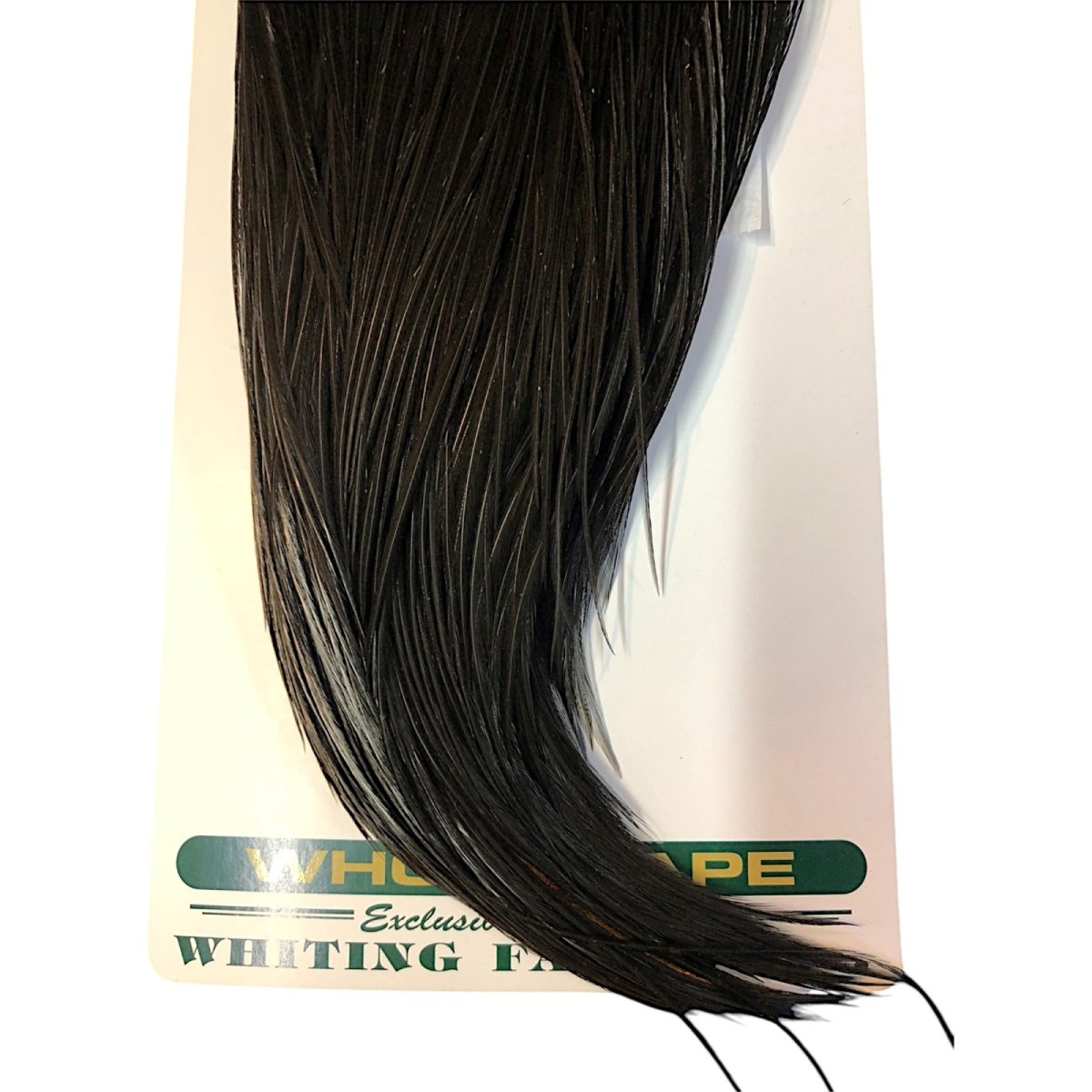 画像3: WHITING Hebart Rooster  Cape ルースターケープ ブラック Bronze Grade  WHC9 ホワイティング  (3)