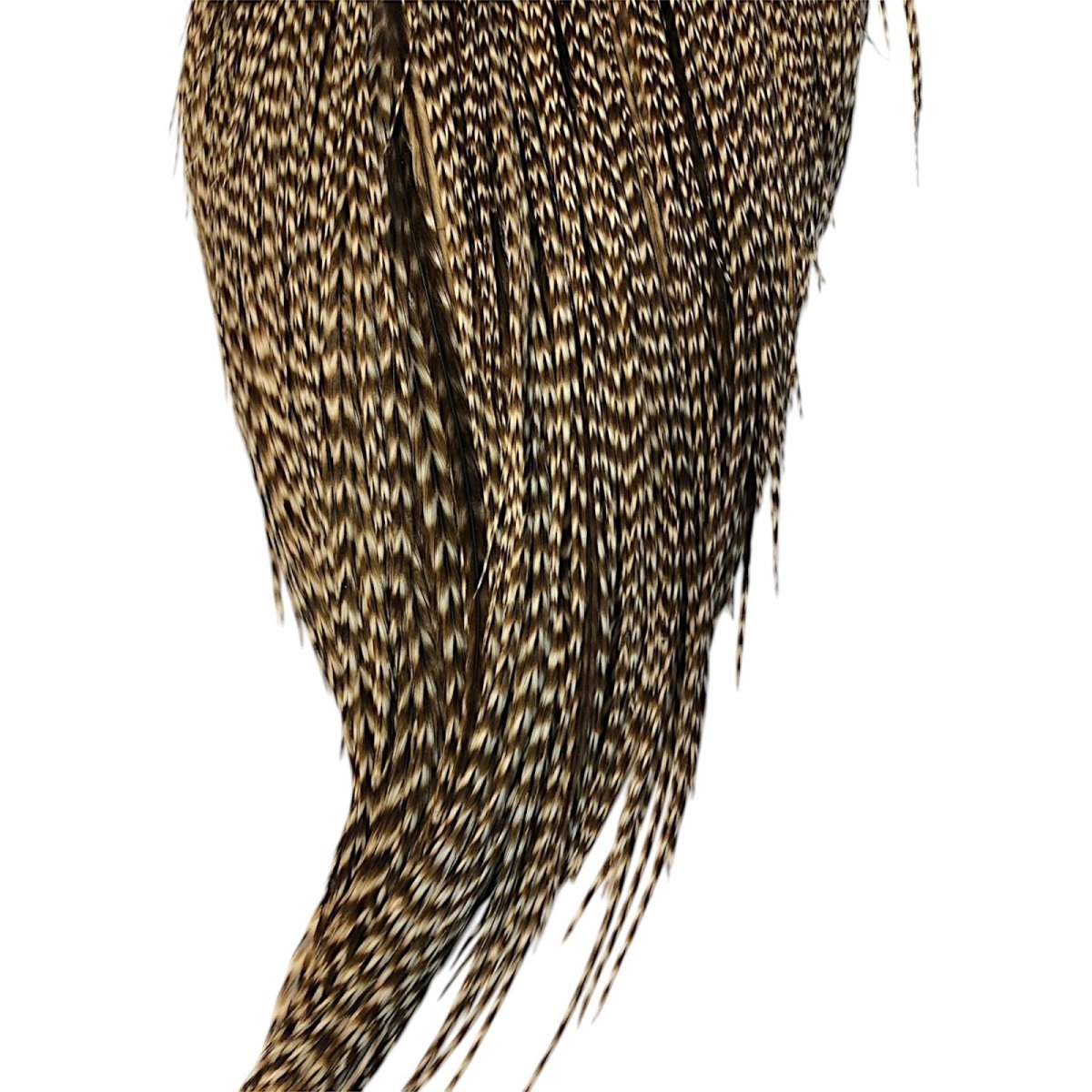 画像3: WHITING Hebart Rooster  Cape ルースターケープ ダングリズリー Silver Grade  WHC19 ホワイティング  (3)