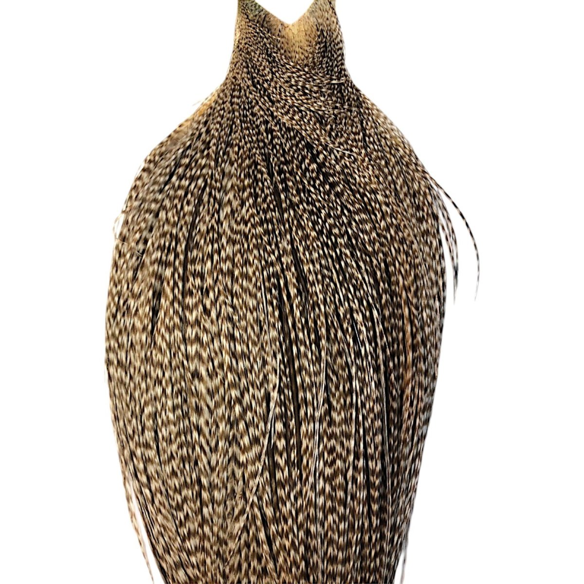 画像2: WHITING Hebart Rooster  Cape ルースターケープ ダングリズリー Silver Grade  WHC11 ホワイティング  (2)