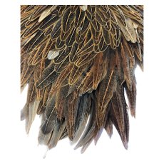 画像3: WHITING　Hebart　Hen　Saddle　ヘンサドル　ワイルドタイプブラウン　HES8　ホワイティング　 (3)