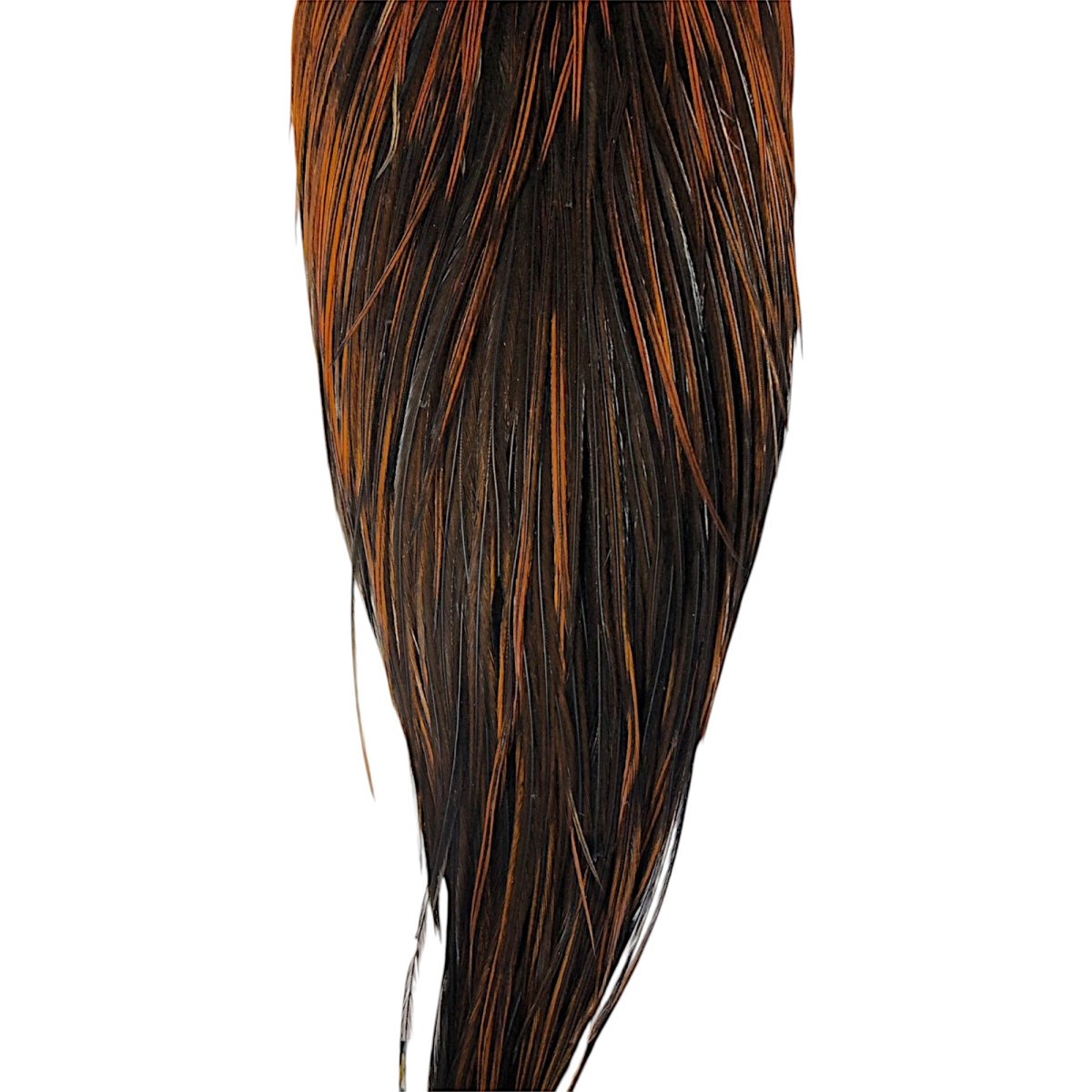 画像3: WHITING Hebart Rooster  Cape ルースターケープ ユニークバリアント Bronze Grade  WHC10 ホワイティング  (3)