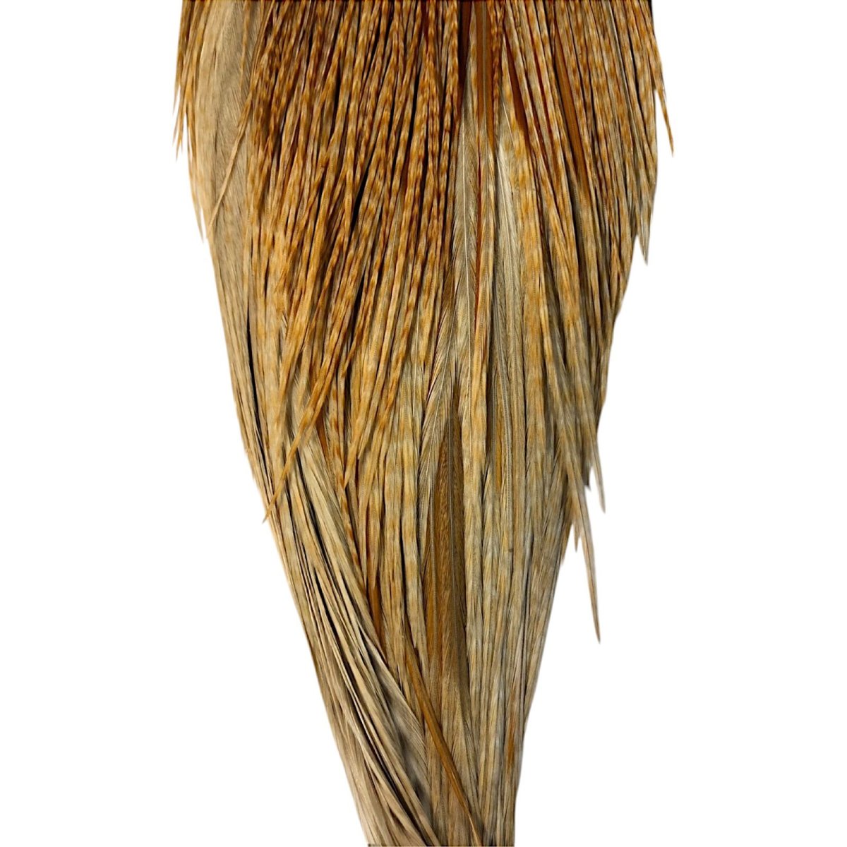 画像3: WHITING Hebart Rooster  Cape ルースターケープ バードミディアムジンジャー Silver Grade  WHC16 ホワイティング  (3)