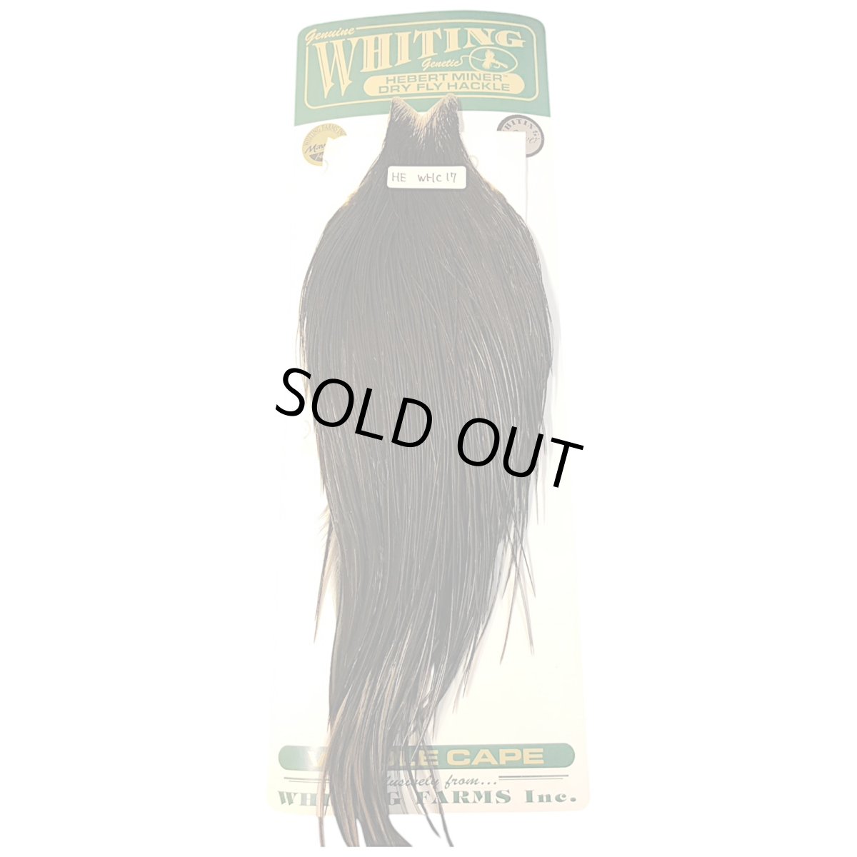 画像1: WHITING　Hebart　Rooster  Cape　ルースターケープ　ブラック　Silver Grade 　WHC17　ホワイティング　 (1)