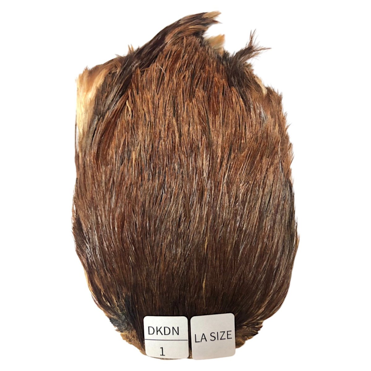 画像1: LA　SIZE　インドコックケープ India Cock Neck Cape　ブラウンダン　NO1 (1)