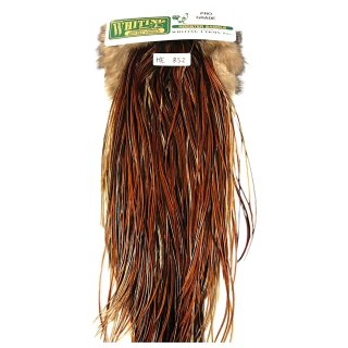 WHITING Rooster Saddle ルースターサドル グリズリーコーチマン