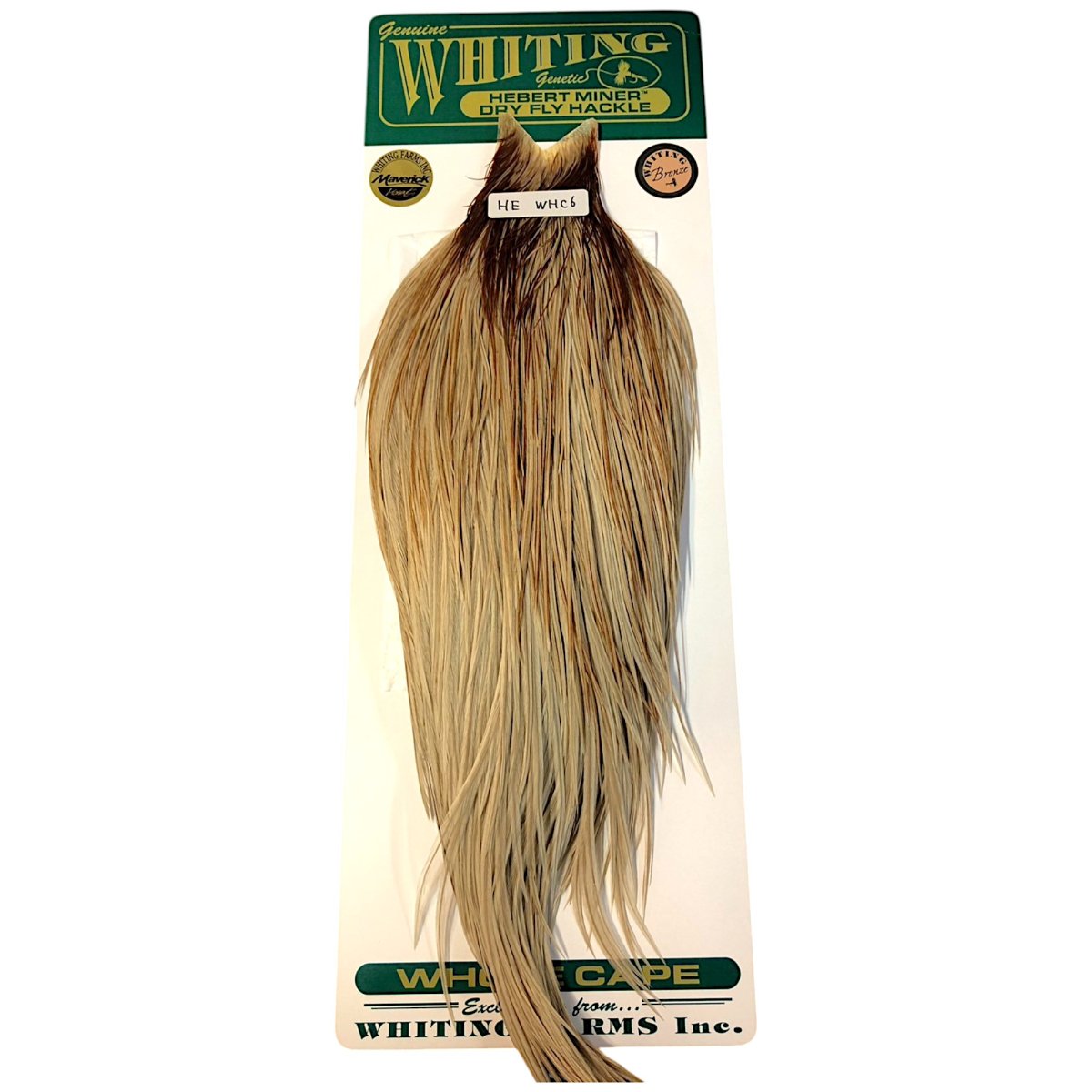 画像1: WHITING　Hebart　Rooster  Cape　ルースターケープ　ユニークバリアント　Bronze Grade 　WHC6　ホワイティング　 (1)