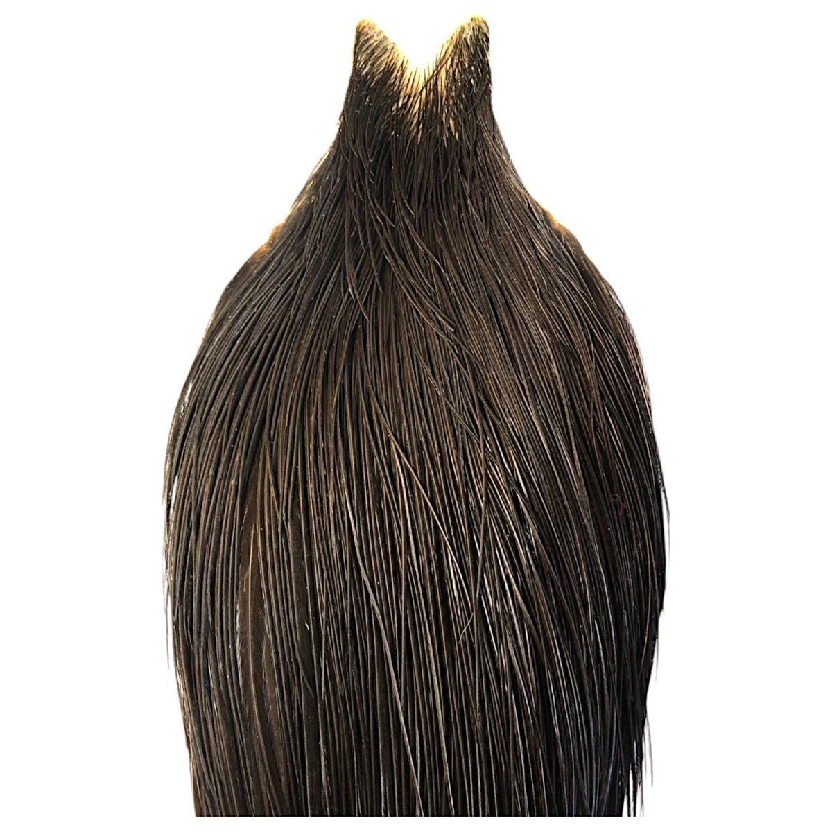 画像2: WHITING Hebart Rooster  Cape ルースターケープ ブラック Silver Grade  WHC17 ホワイティング  (2)