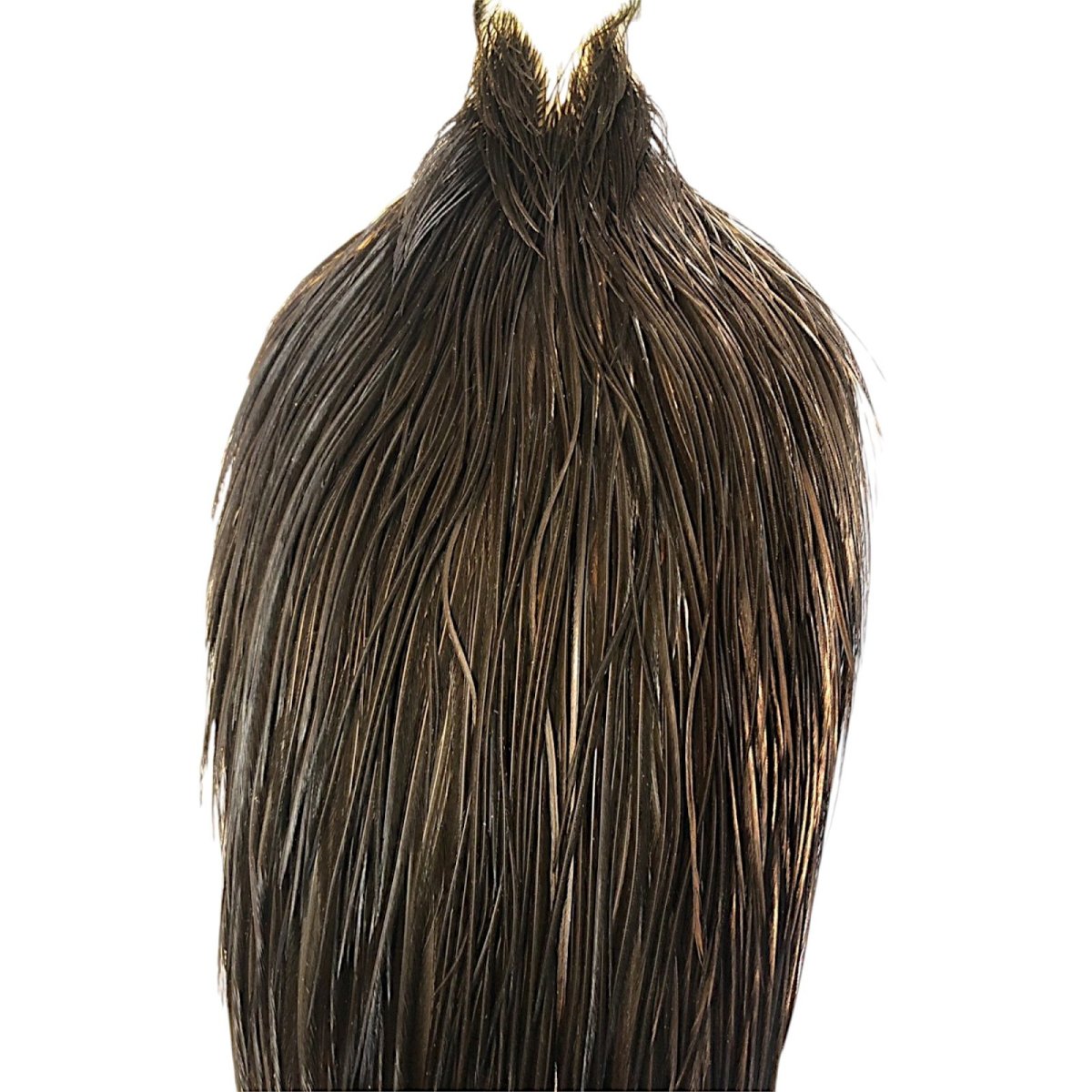 画像2: WHITING Hebart Rooster  Cape ルースターケープ ブラック Bronze Grade  WHC3 ホワイティング  (2)