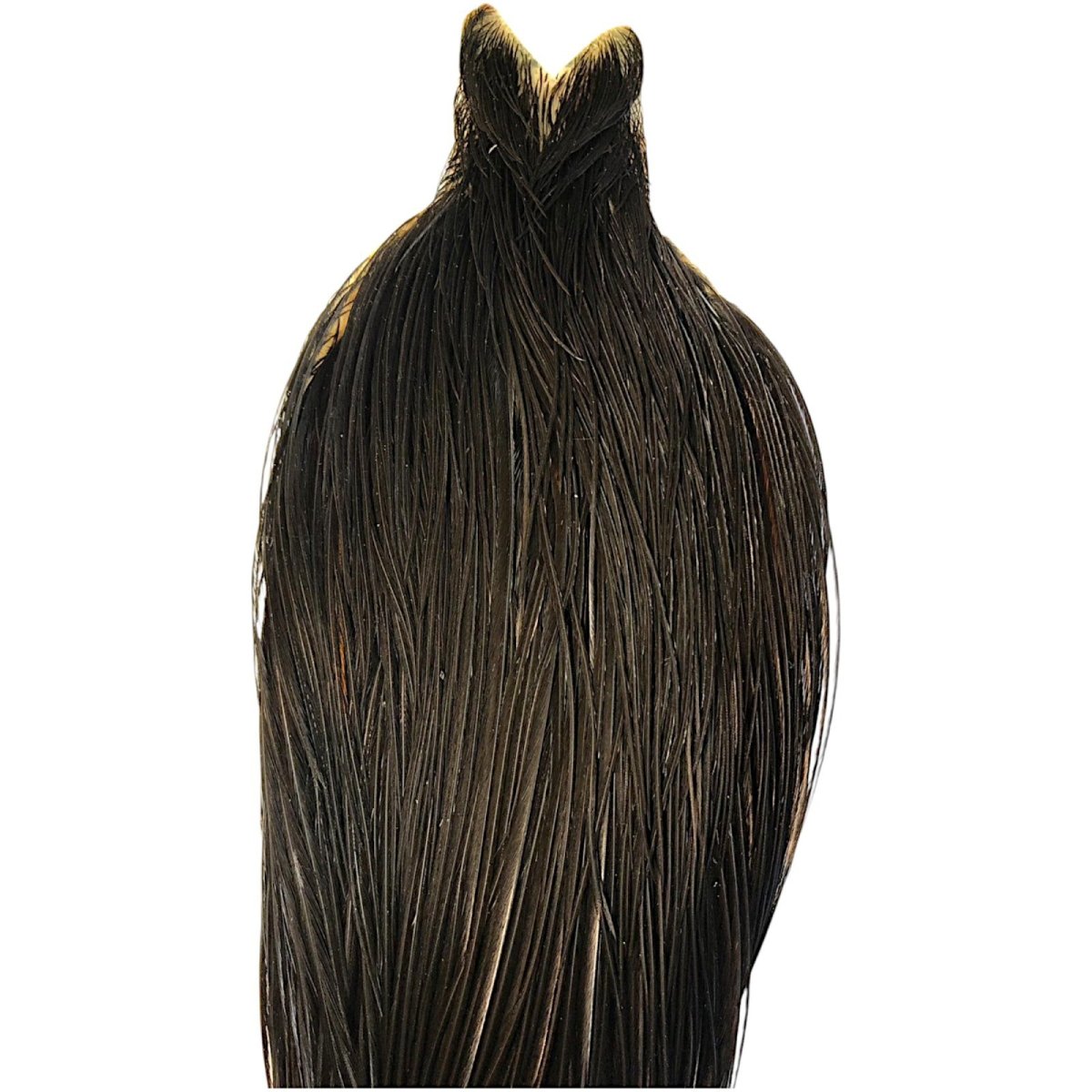 画像2: WHITING Hebart Rooster  Cape ルースターケープ ブラック Bronze Grade  WHC9 ホワイティング  (2)