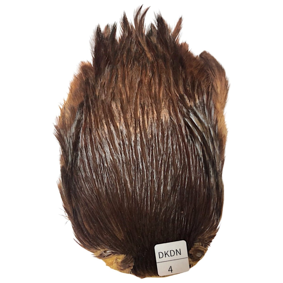 画像1: インドコックケープ India Cock Neck Cape　ブラウンダン　NO4 (1)