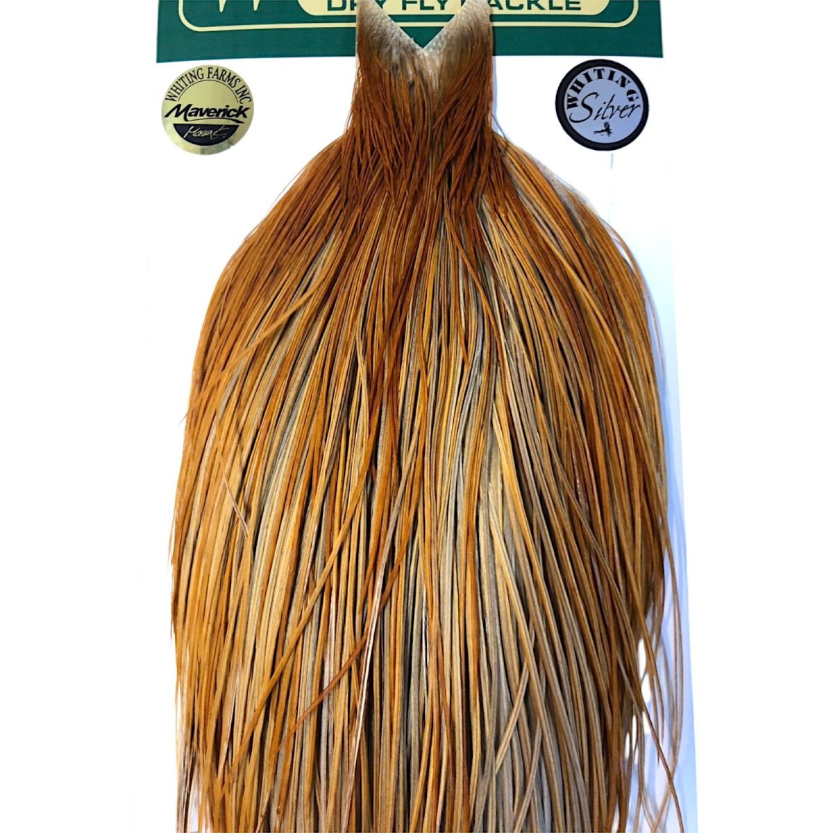 画像2: WHITING Hebart Rooster  Cape ルースターケープ ハニーダン Silver Grade  WHC14 ホワイティング  (2)