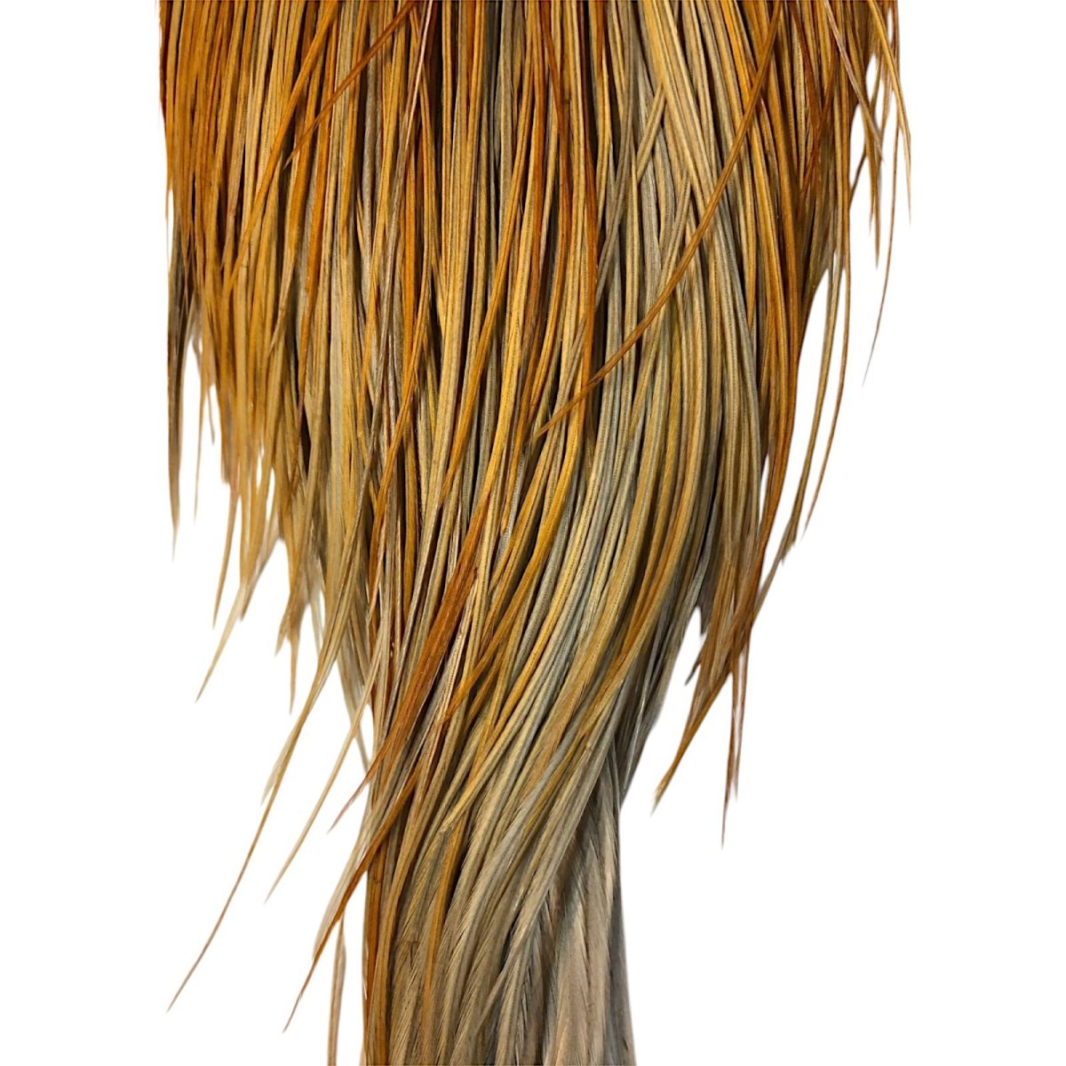 画像3: WHITING Hebart Rooster  Cape ルースターケープ ハニーダン Silver Grade  WHC14 ホワイティング  (3)