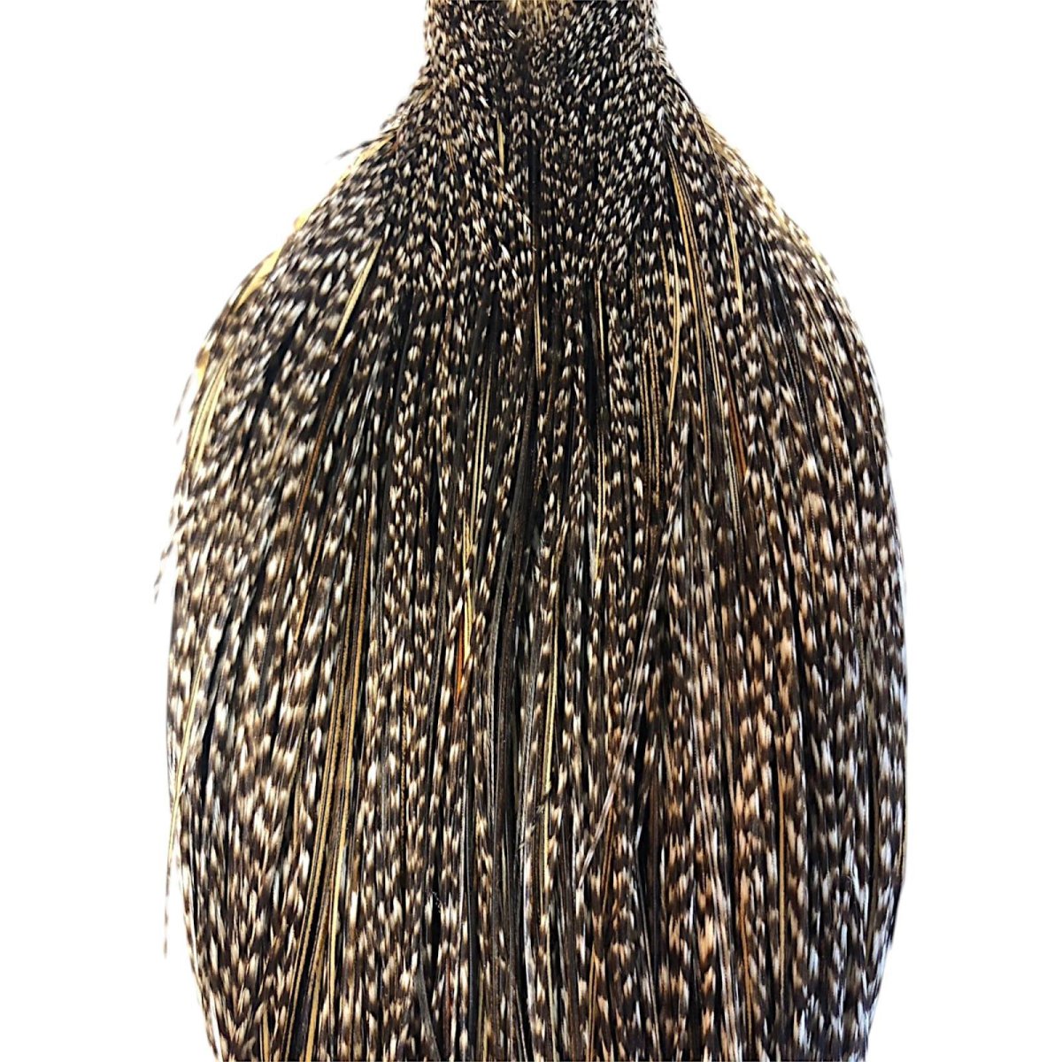 画像2: WHITING Hebart Rooster  Cape ルースターケープ グリズリーバリアント Silver Grade  WHC15 ホワイティング  (2)