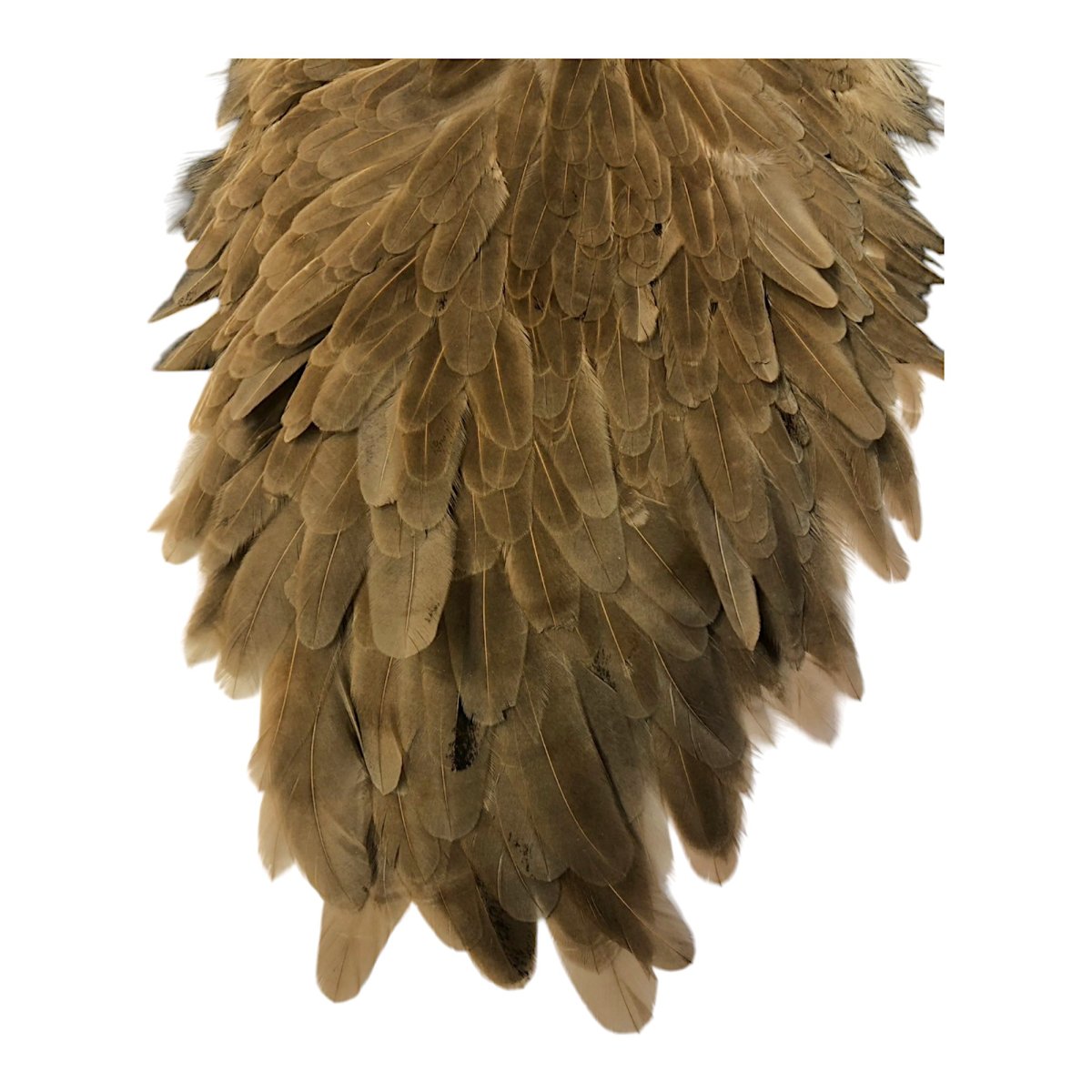 画像3: WHITING Hebart Hen Saddle ヘンサドル ミディアムブラウンダン HES3 ホワイティング  (3)