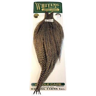 WHITING Hebart Rooster Cape ルースターケープ ブラック Bronze
