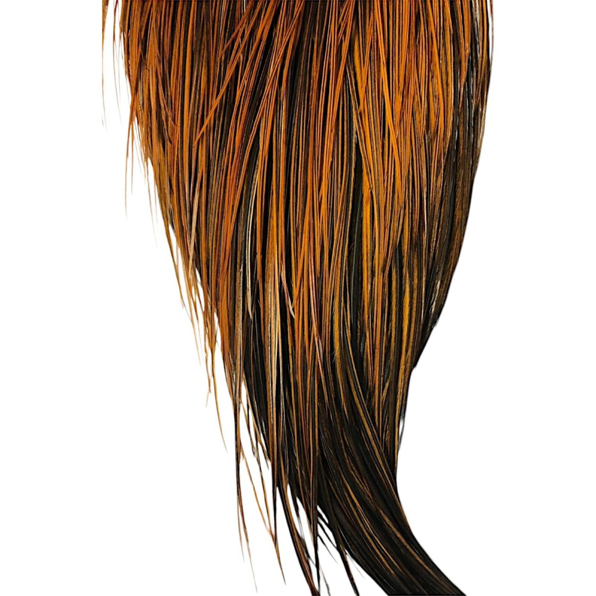 画像3: WHITING Hebart Rooster  Cape ルースターケープ ファーネス Silver Grade  WHC12 ホワイティング  (3)