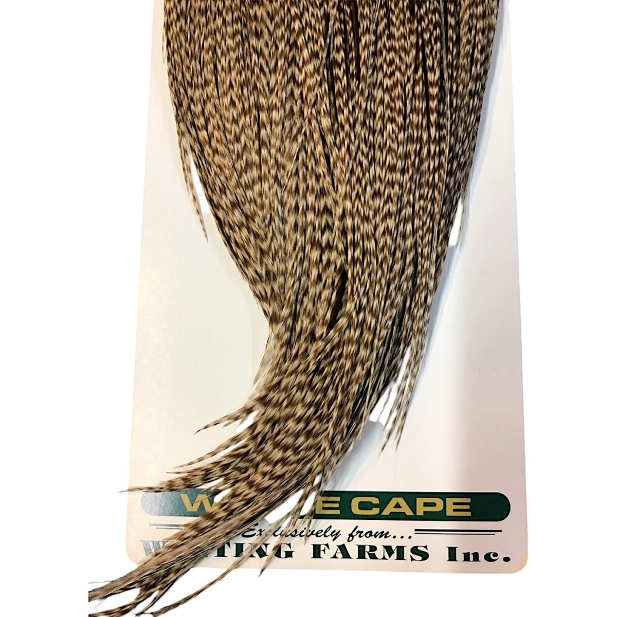 画像3: WHITING Hebart Rooster  Cape ルースターケープ ダングリズリー Silver Grade  WHC11 ホワイティング  (3)