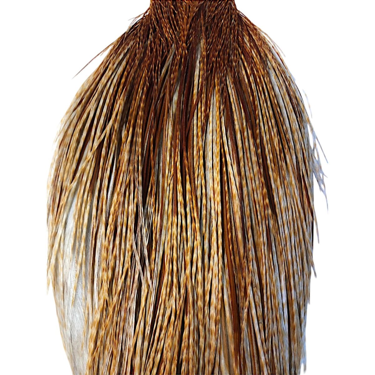 画像2: WHITING Hebart Rooster  Cape ルースターケープ バードミディアムジンジャー Silver Grade  WHC16 ホワイティング  (2)