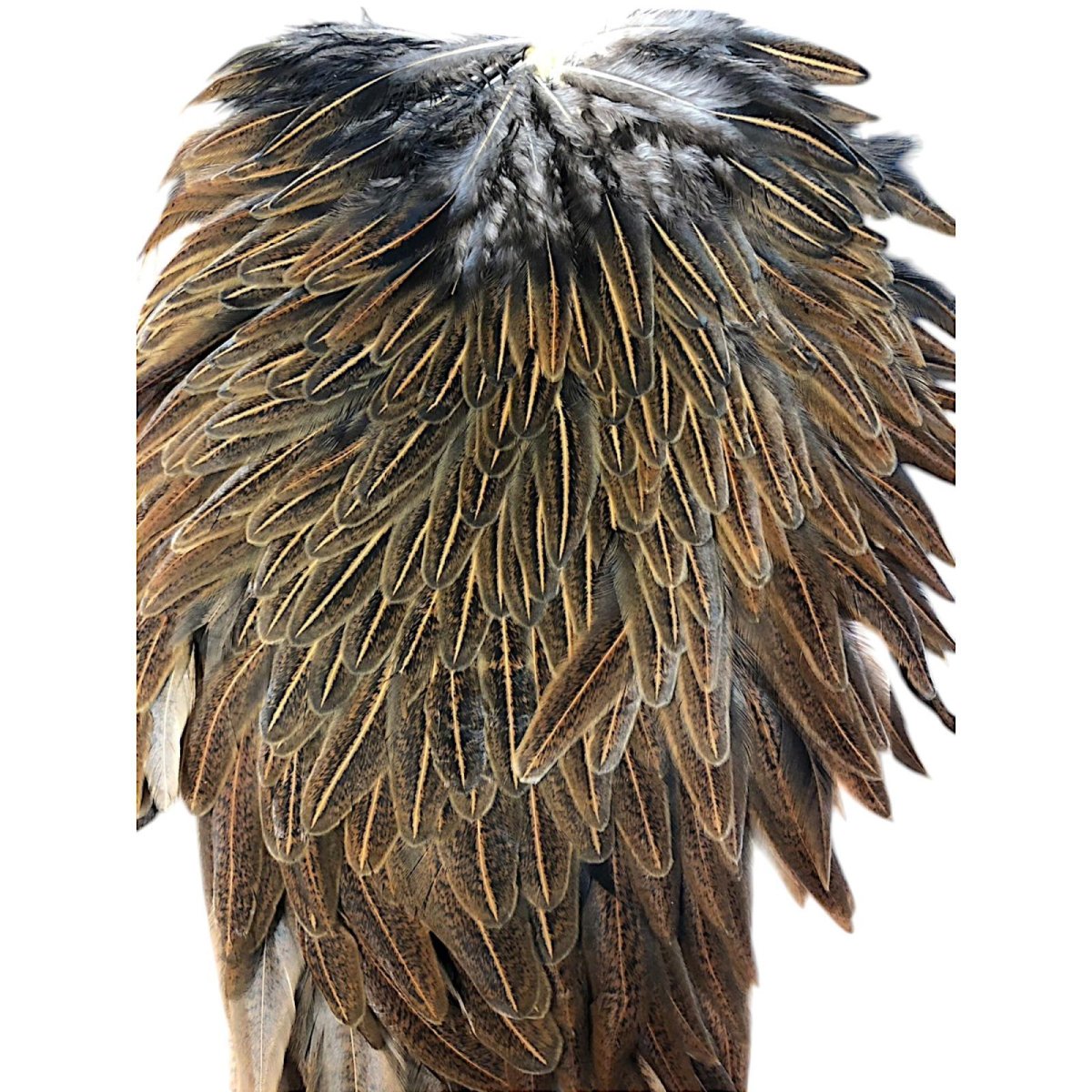 画像2: WHITING Hebart Hen Saddle ヘンサドル ワイルドタイプブラウン HES6 ホワイティング  (2)