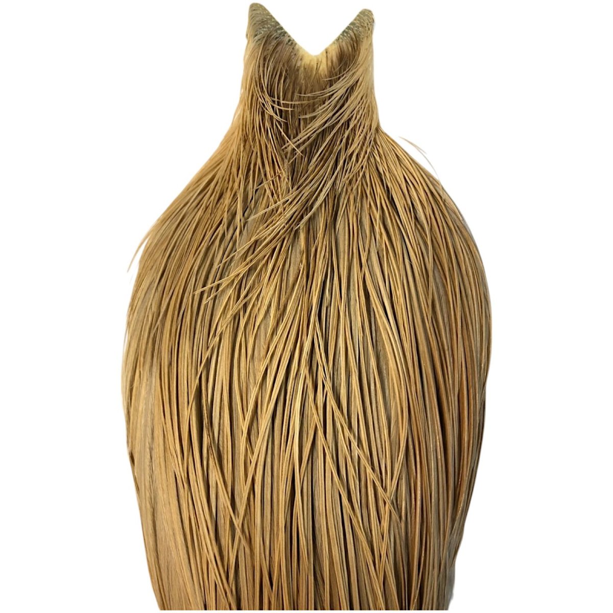 画像2: WHITING Hebart Rooster  Cape ルースターケープ ライトジンジャー Silver Grade  WHC18 ホワイティング  (2)