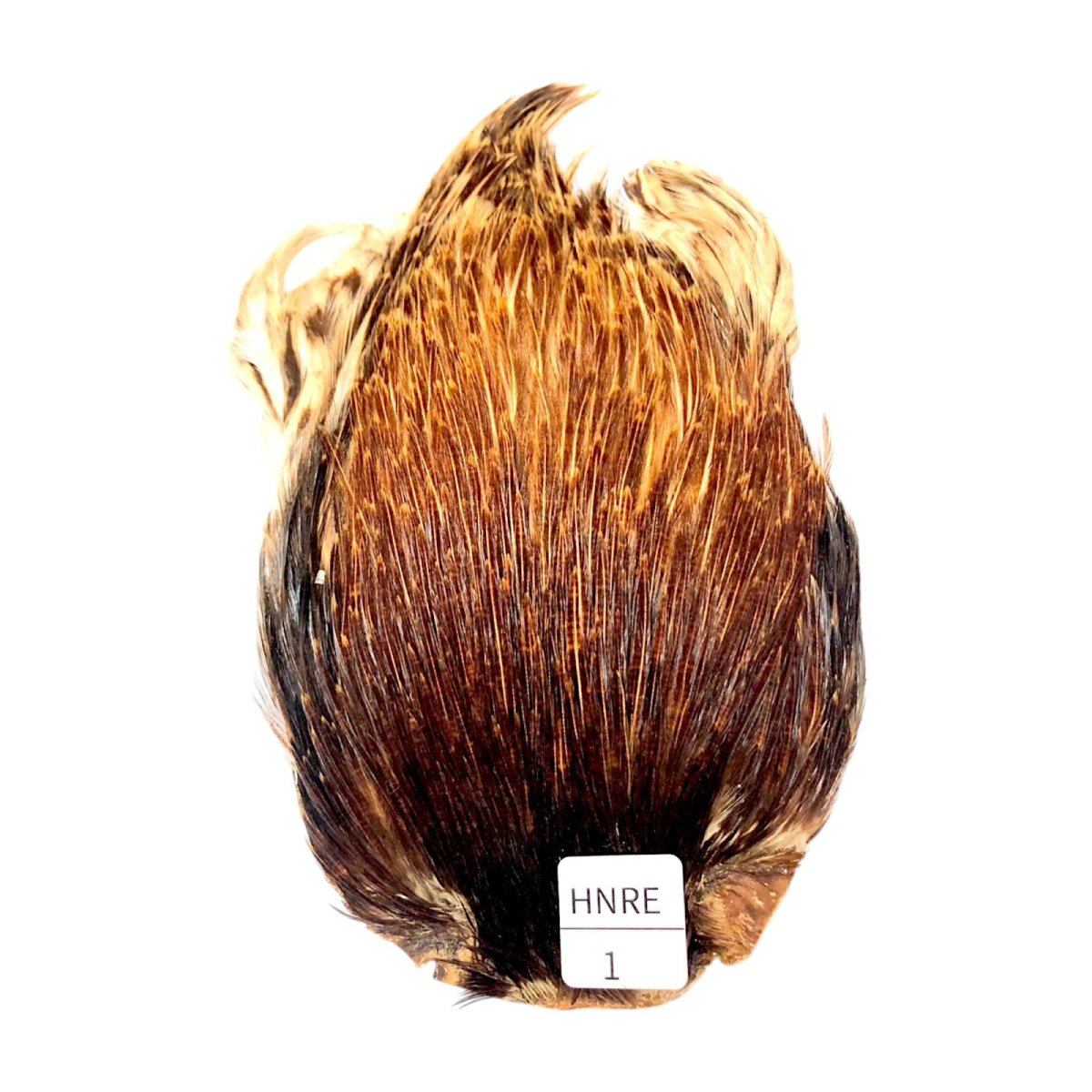 画像1: インドコックケープ India Cock Neck Cape　ハニーレッド　NO1 (1)