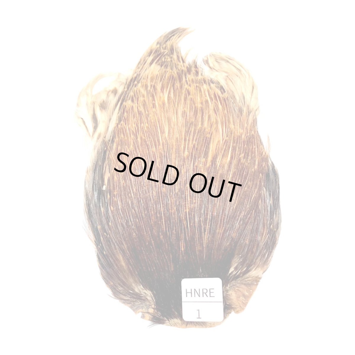 画像1: インドコックケープ India Cock Neck Cape　ハニーレッド　NO1 (1)