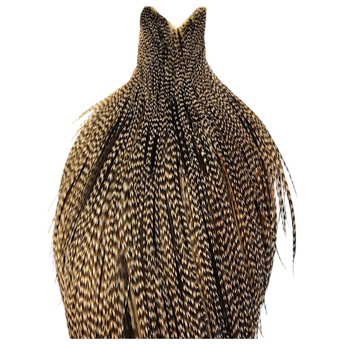 画像2: WHITING Hebart Rooster  Cape ルースターケープ ダングリズリー Silver Grade  WHC19 ホワイティング  (2)