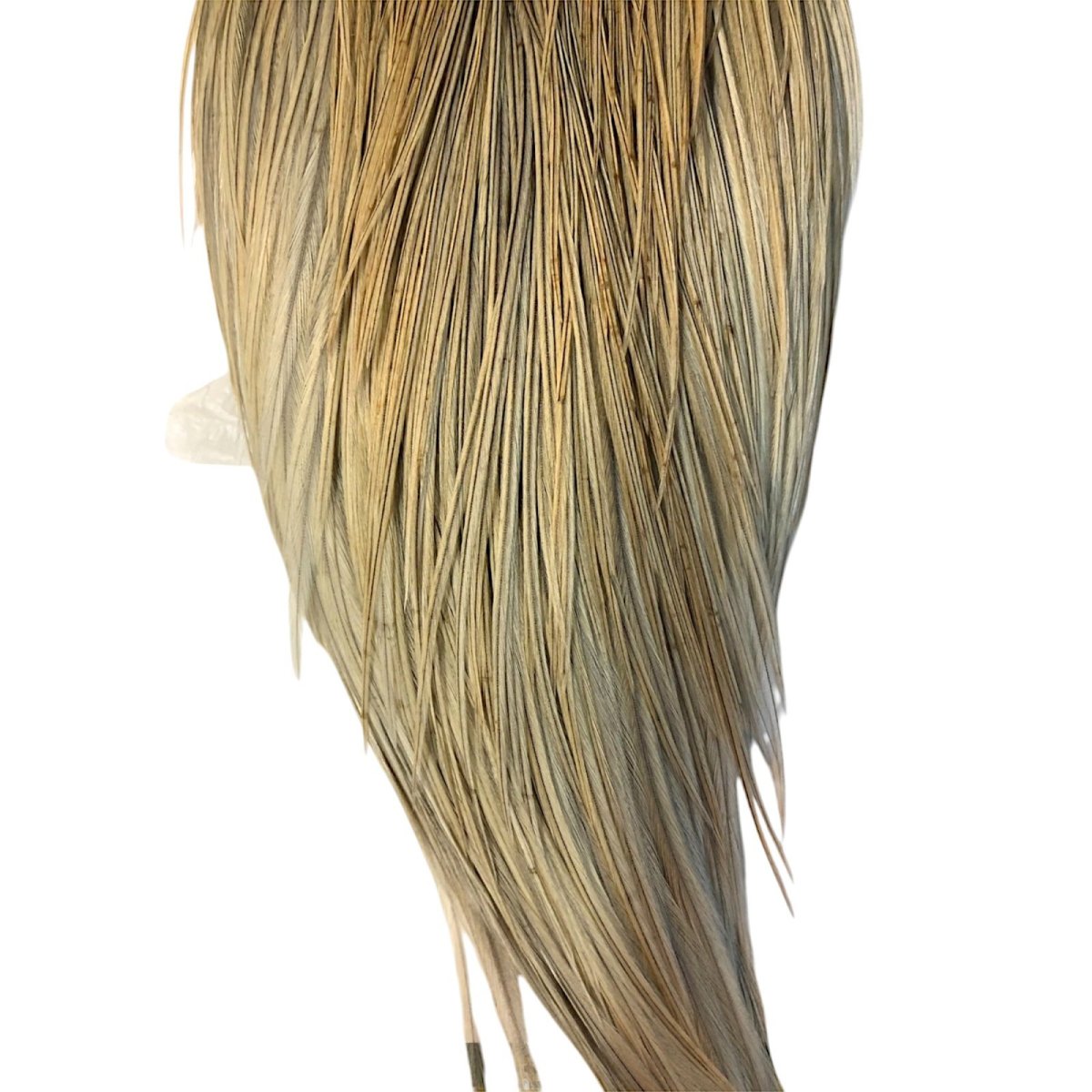 画像3: WHITING Hebart Rooster  Cape ルースターケープ ライトグレーダン Bronze Grade  WHC4 ホワイティング  (3)