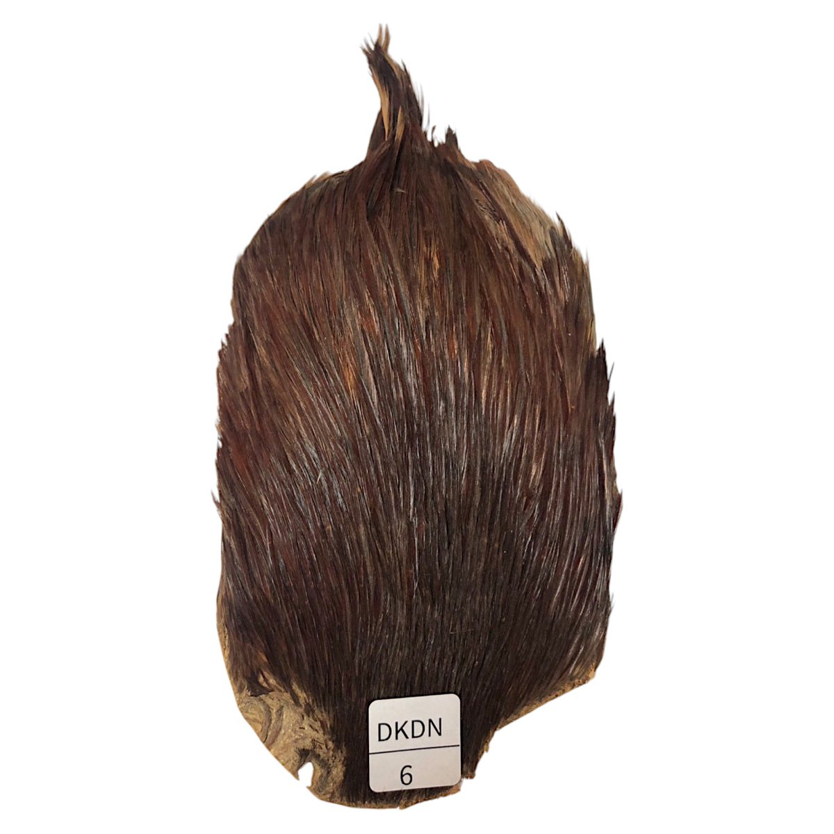画像1: インドコックケープ India Cock Neck Cape　ブラウンダン　NO6 (1)