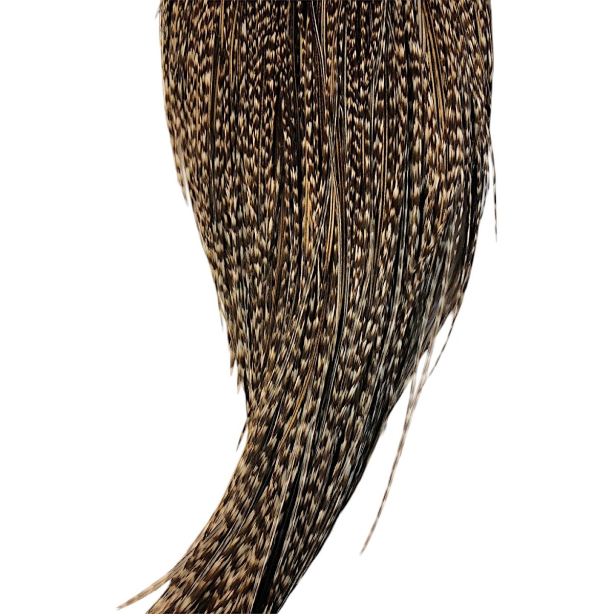 画像3: WHITING Hebart Rooster  Cape ルースターケープ グリズリーバリアント Silver Grade  WHC15 ホワイティング  (3)