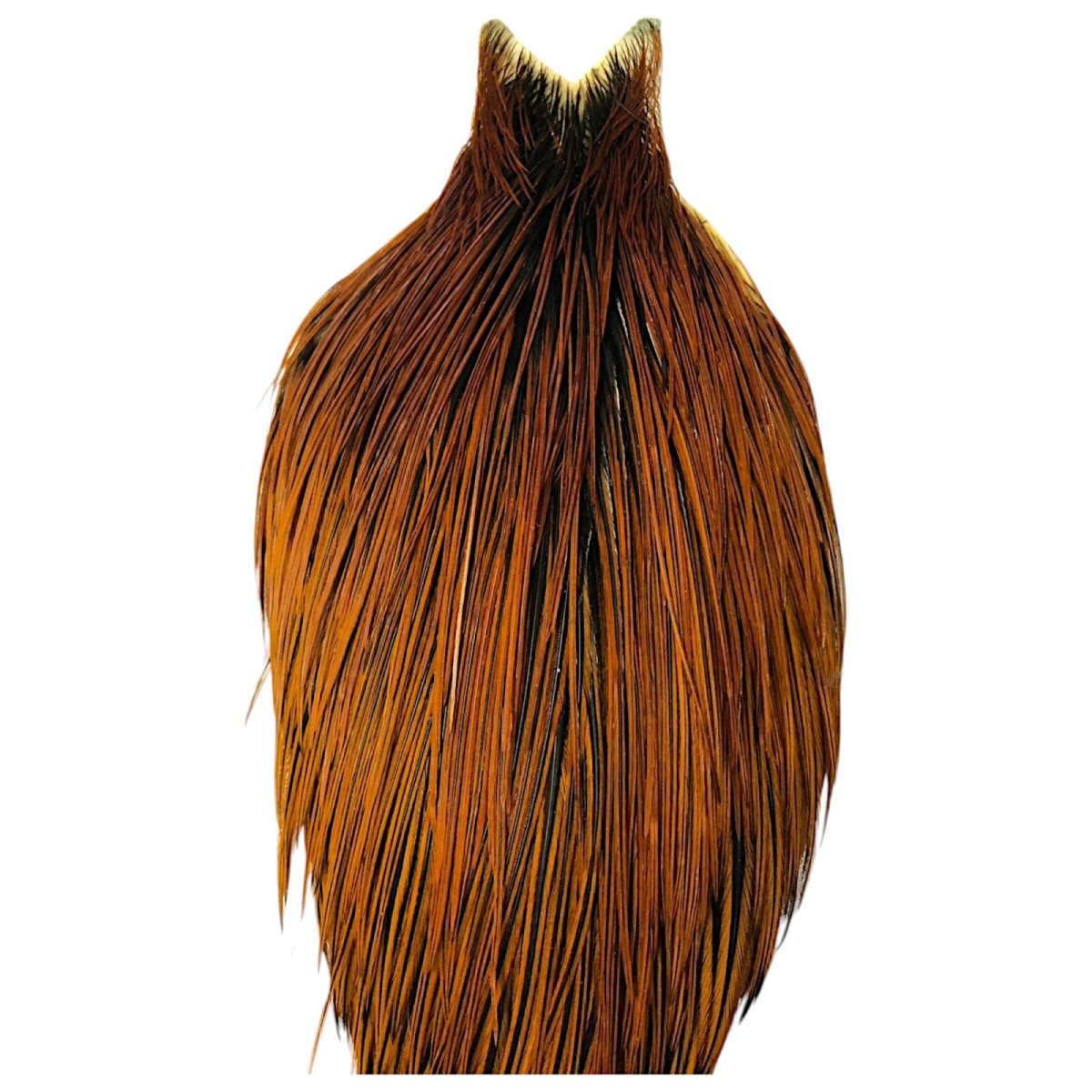 画像2: WHITING Hebart Rooster  Cape ルースターケープ ファーネス Pro Grade  WHC2 ホワイティング  (2)