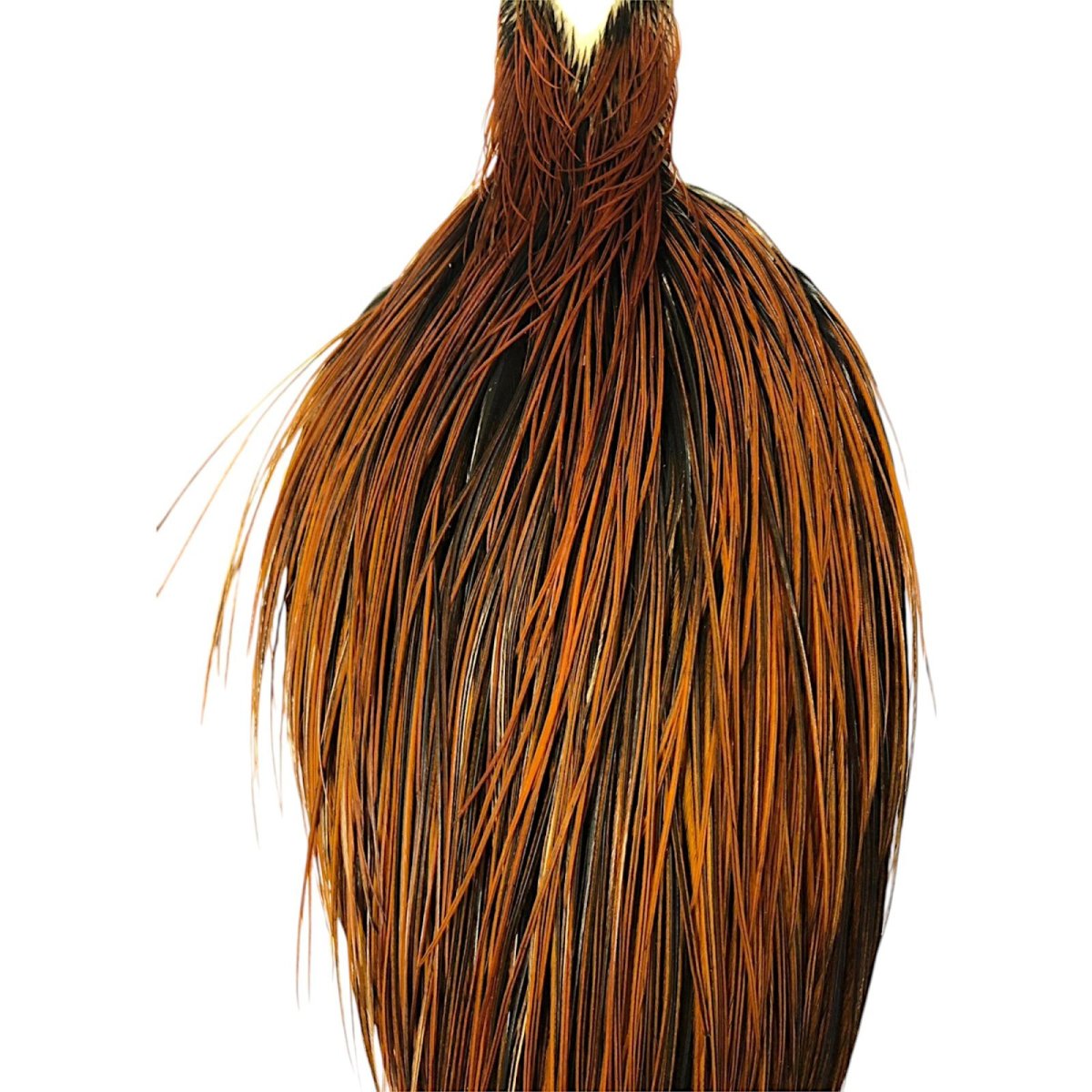 画像2: WHITING Hebart Rooster  Cape ルースターケープ ファーネス Silver Grade  WHC12 ホワイティング  (2)