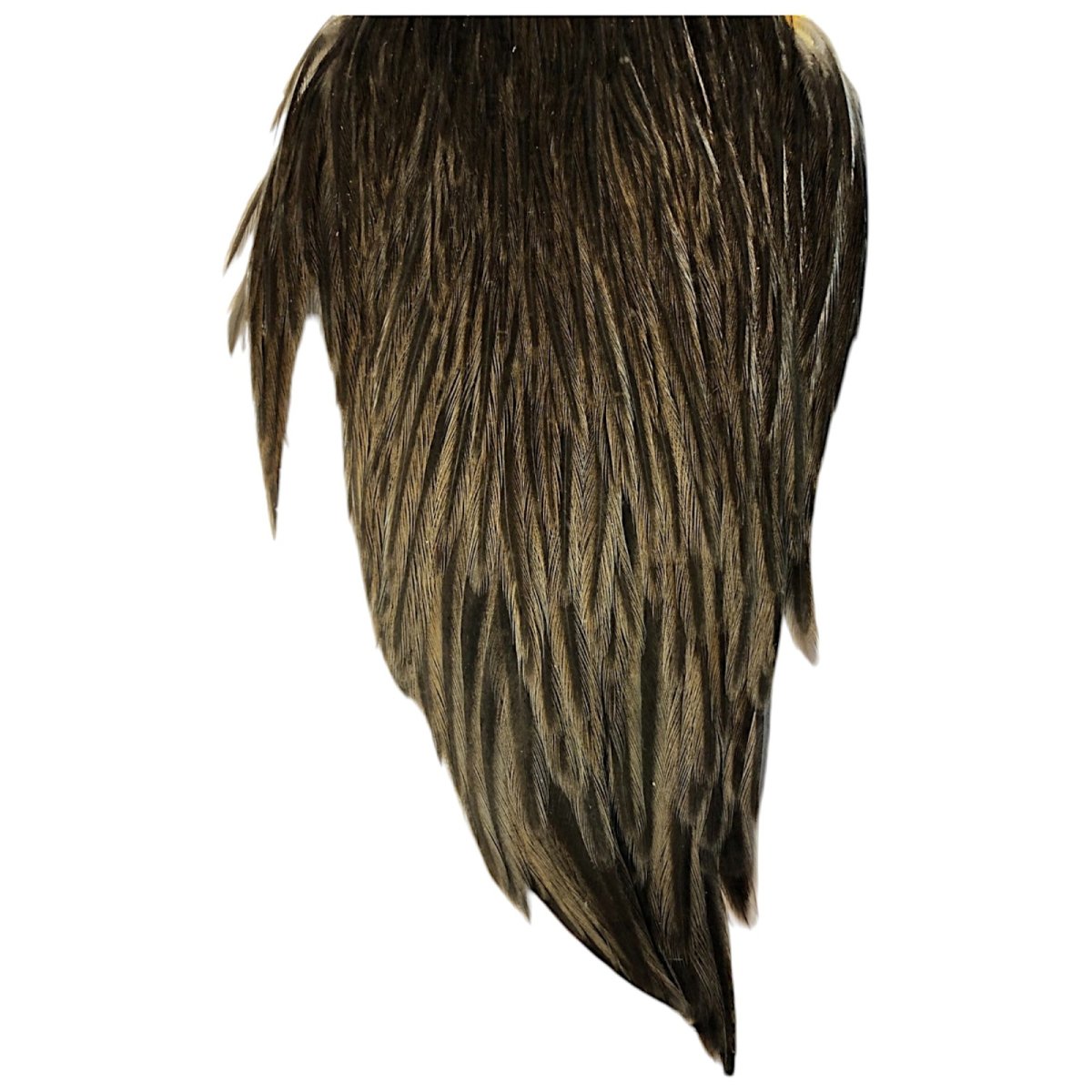 画像3: WHITING Hebart Hen Cape ヘンケープ ダークブラウンダン HEC10 ホワイティング  (3)