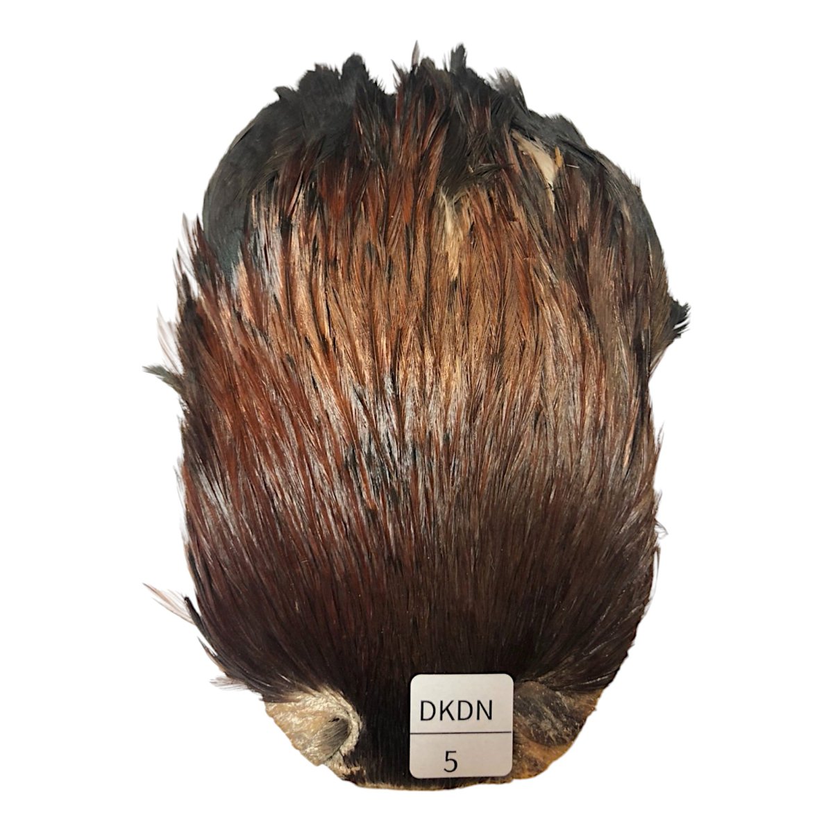 画像1: インドコックケープ India Cock Neck Cape　ブラウンダン　NO5 (1)