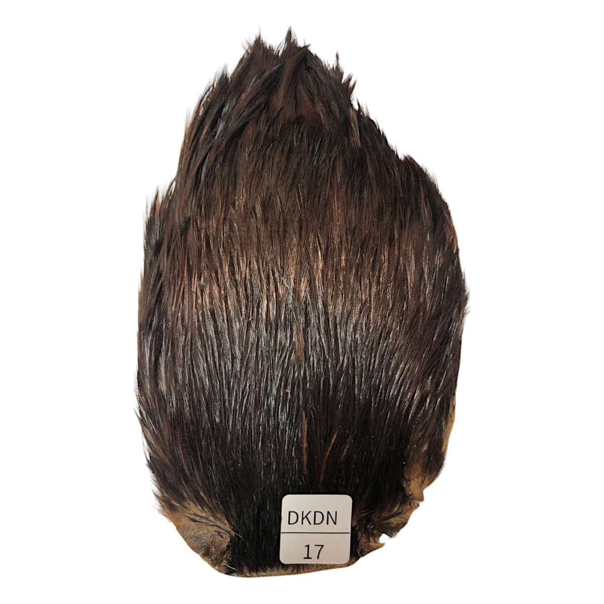 画像1: インドコックケープ India Cock Neck Cape　ブラウンダン　NO17 (1)