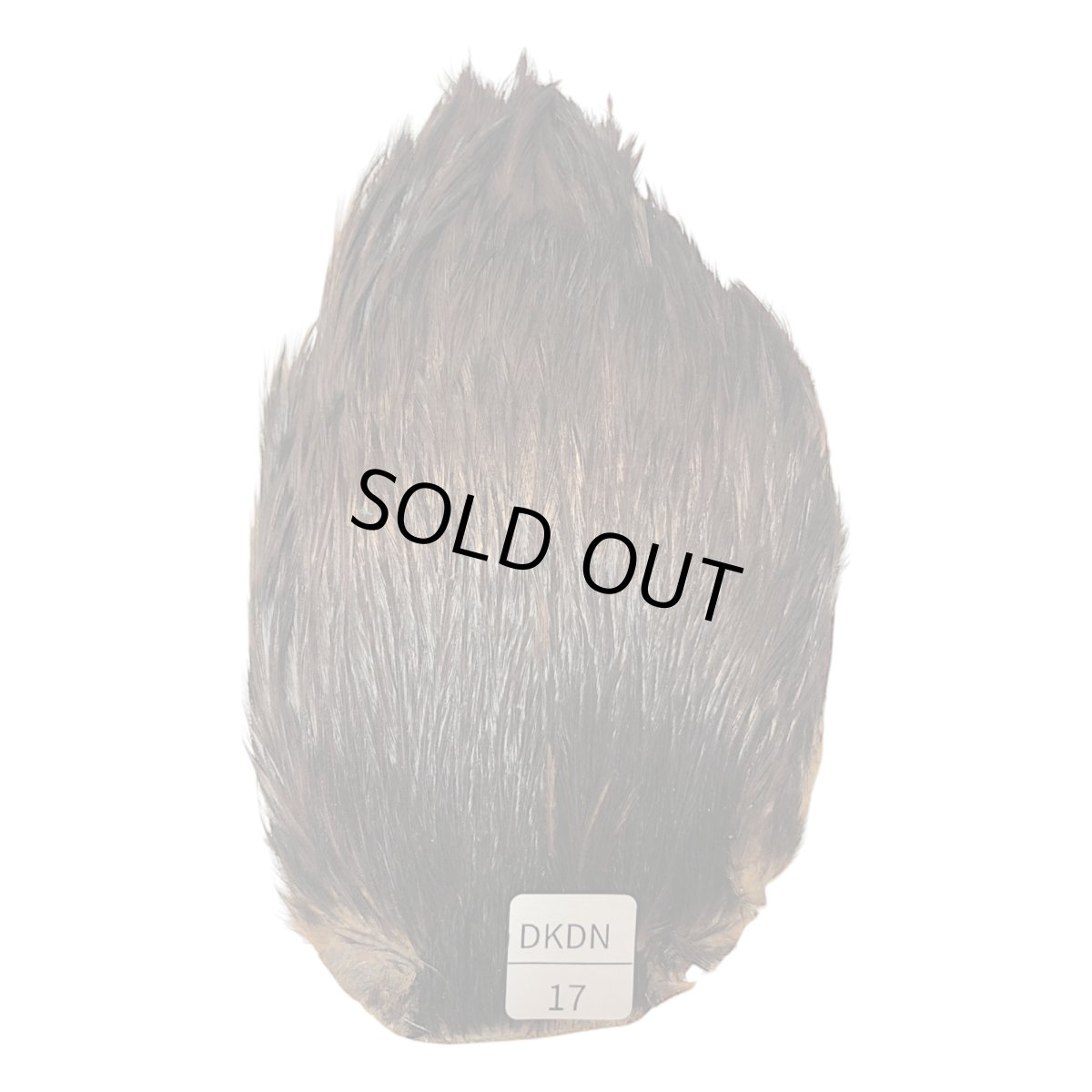 画像1: インドコックケープ India Cock Neck Cape　ブラウンダン　NO17 (1)