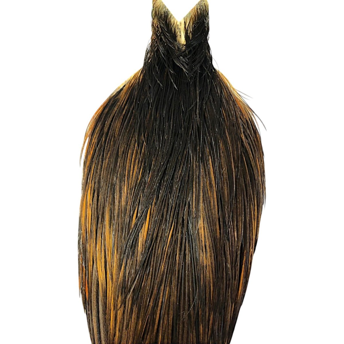 画像2: WHITING Hebart Rooster  Cape ルースターケープ ユニークバリアント Bronze Grade  WHC5 ホワイティング  (2)