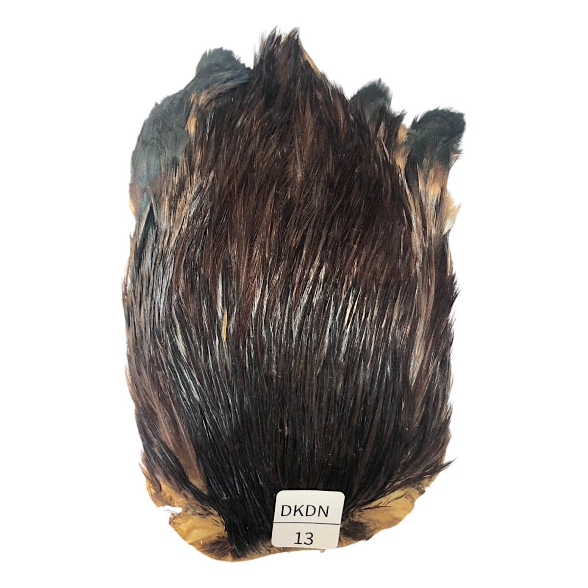 画像1: インドコックケープ India Cock Neck Cape　ブラウンダン　NO13 (1)