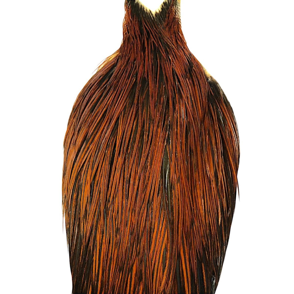 画像2: WHITING Hebart Rooster  Cape ルースターケープ ファーネス Pro Grade  WHC1 ホワイティング  (2)